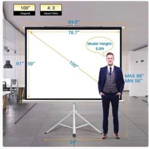 Projector screen with stand